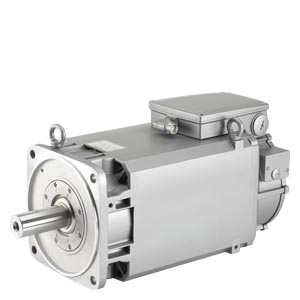 [1PH8131-1DF12-0BA1] 全新电机
